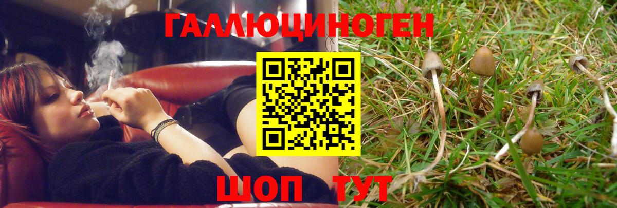 Осинники  Псилоцибиновые грибы MAGIC MUSHROOMS  Вход с VPN 