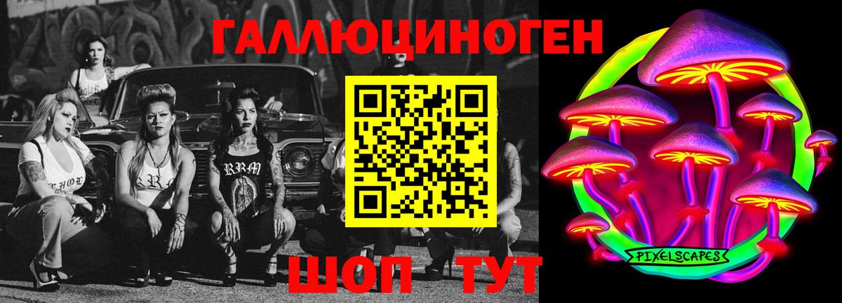 Галлюциногенные грибы мицелий Осинники